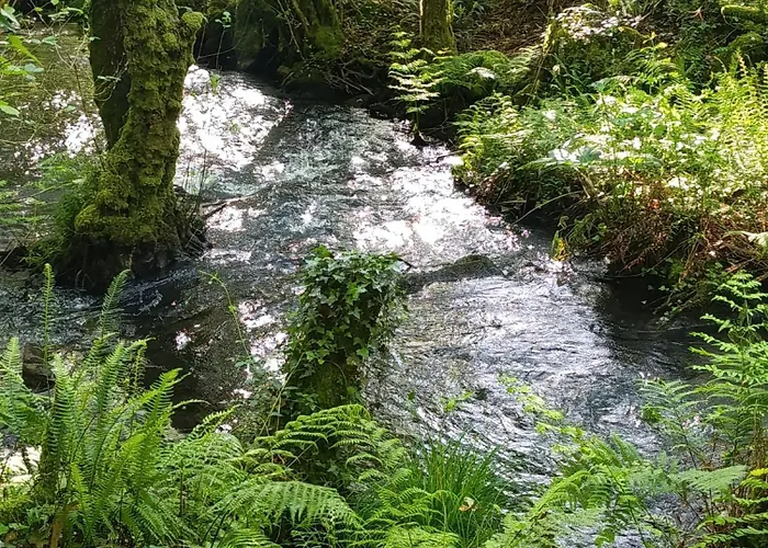Edificio El Moderno Puerta Del Sol Vigo